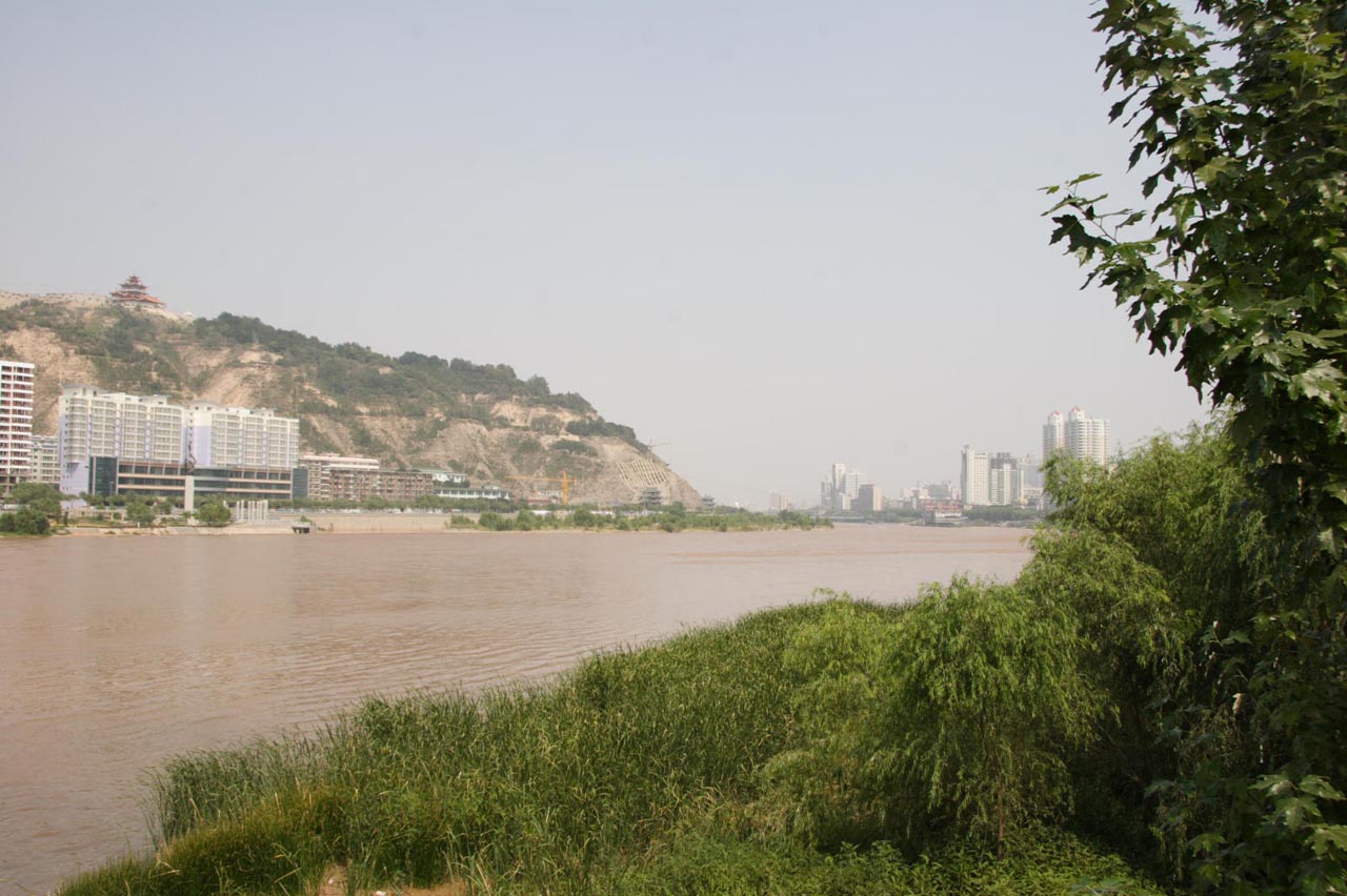 _MG_4464