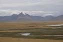 _MG_5419